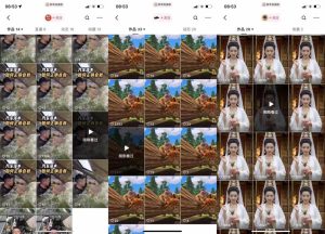 狗熊岭快手连怼技术，好物，涨粉都可以连怼-项目资源库