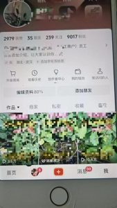 最新抖音暴力起万粉技术，一天涨万粉，发三四个作品涨近万粉-项目资源库