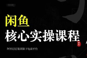 2024闲鱼核心实操课程,从养号、选品、发布、销售,教你做一个出单的闲鱼号-项目资源库