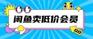 外面收费998的闲鱼低价充值会员搬砖玩法号称日入200+-项目资源库