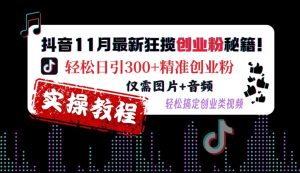 抖音11月最新狂揽创业粉秘籍,轻松日引300+精准创业粉,仅需图片+音频,轻松搞定创业类视频-项目资源库
