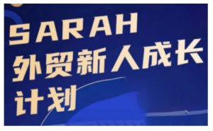 外贸新人成长计划，外贸新人学起来，偷偷让自己变强大-项目资源库