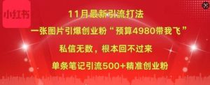 小红书11月最新图片打粉,一张图片引爆创业粉,“预算4980带我飞”,单条引流500+精准创业粉-项目资源库