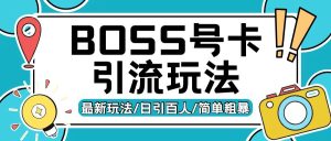 Boss直聘流量卡引流变现玩法，日引200+创业粉【揭秘】-项目资源库