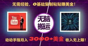 无需经验，0基础复制粘贴赚美刀，动动手指，月入3000+刀，无上限【揭秘】-项目资源库