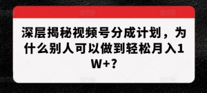 深层揭秘视频号分成计划，为什么别人可以做到轻松月入1W+?-项目资源库