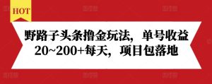 野路子头条撸金玩法，单号收益20~200+每天，项目包落地-项目资源库