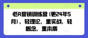 老A营销训练营(更24年11月)，轻理论，重实战，轻概念，重本质-项目资源库