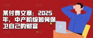 某付费文章:2025年,中产阶级如何保卫自己的财富-项目资源库