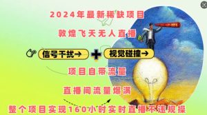 2024年最新稀缺项目敦煌飞天无人直播，项目自带流量，流量爆满，实现160小时实时直播不违规操-项目资源库