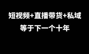 短视频+直播带货+私域等于下一个十年,大佬7年实战经验总结-项目资源库