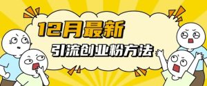 12月最新引流创业粉方法，方法非常简单，适用于多平台-项目资源库