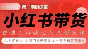 小Red书带货42天训练营 2.0版,宝妈+自由职+上班族+大学生,提高副业收入的大红利项目-项目资源库