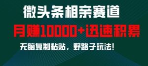 微头条相亲赛道，迅速积累，无脑复制粘贴，野路子玩法，月入1w-项目资源库