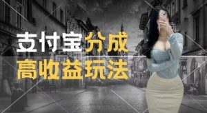 支付宝分成计划新玩法,利用交通事故视频,赚收益,轻松月入过W,操作简单【揭秘】-项目资源库