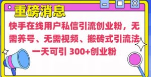 快手最新引流创业粉方法，无需养号、无需视频、搬砖式引流法【揭秘】-项目资源库