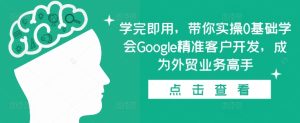 学完即用，带你实操0基础学会Google精准客户开发，成为外贸业务高手-项目资源库