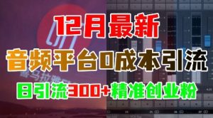 12月最新:音频平台0成本引流,日引流300+精准创业粉-项目资源库