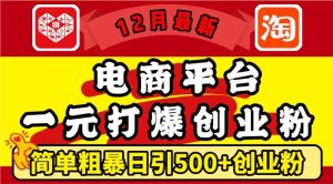 12月最新:电商平台1元打爆创业粉,简单粗暴日引500+精准创业粉,轻松月入过W【揭秘】-项目资源库