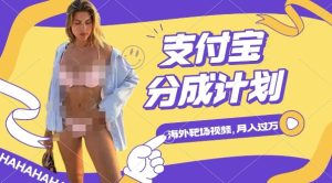 利用海外靶场射击视频,挣支付宝分成收益,轻松月入过W【揭秘】-项目资源库