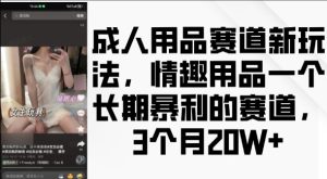 成人用品赛道新玩法，情趣用品一个长期暴利的赛道，3个月收益20个【揭秘】-项目资源库