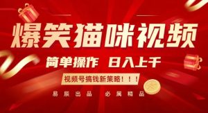 爆笑猫咪视频：简单操作，日入过K，视频号搞钱新策略【揭秘】-项目资源库