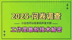 2025问卷调查最新工作室技术解密：一个人在家也可以闷声发大财，小白一天2张，可矩阵放大【揭秘】-项目资源库