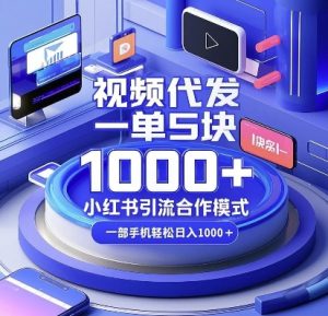 视频代发,一单5块,小红书引流合作模式,一部手机轻松日入多张【揭秘】-项目资源库