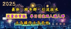 最新“跨年群”引流，流量非常猛，单日引流两人满人群，立马操作立马见效【揭秘】-项目资源库
