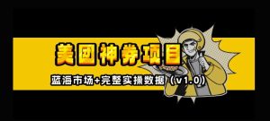 美团神券神会员_入门级教程,外卖券膨胀推广项目【全网首发,全新蓝海】-项目资源库