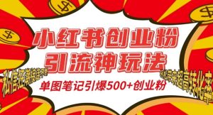 小红书创业粉引流神玩法，单图笔记引爆500+精准创业粉丝，私信狂潮接连不断-项目资源库