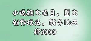 小说推文项目，图文创作玩法，新手10天挣3000-项目资源库