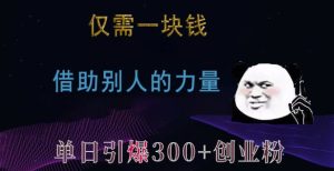 仅需一块钱,借助别人的力量,单日引爆300+创业粉、兼职粉【揭秘】-项目资源库