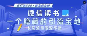 微信读书,一个隐藏的引流宝地,不为人知的小众打法,日引流300+精准创业粉,长尾流量源源不断-项目资源库