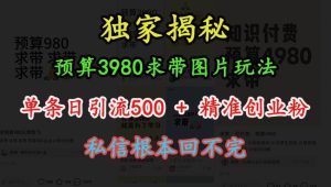 预算3980求带 图片玩法，单条日引流500+精准创业粉，私信根本回不完-项目资源库