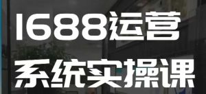 1688高阶运营系统实操课,快速掌握1688店铺运营的核心玩法-项目资源库