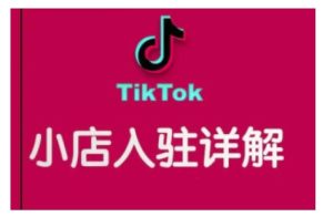 TikTok跨境小店运营全攻略，帮助你独立运营TK跨境小店的能力，实现销量增长-项目资源库