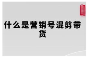 营销号混剪带货,从内容创作到流量变现的全流程,教你用营销号形式做混剪带货-项目资源库