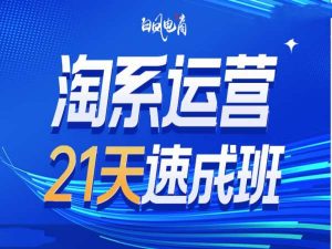 淘系运营21天速成班35期，年前最后一波和2025方向-项目资源库