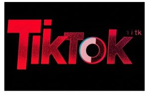 TikTok ads投流秘籍,涵盖tiktok整体投放思路,教你搭建测试计划-项目资源库