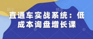 直通车实战系统：低成本询盘增长课，让个人通过技能实现升职加薪，让企业低成本获客，订单源源不断-项目资源库