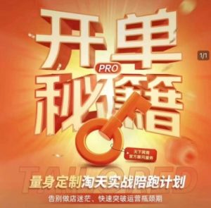 淘宝开单秘籍PRO,量身定制淘天实战陪跑计划,告别做店迷茫、快速突破运营瓶颈期-项目资源库