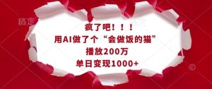 疯了吧！用AI做了个“会做饭的猫”，播放200万，单日变现1k-项目资源库