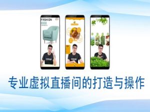 个人虚拟直播间的搭建与操作，专业虚拟直播间的打造与操作-项目资源库