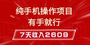 纯手机操作的小项目，有手就能做，7天收入2609+实操教程【揭秘】-项目资源库