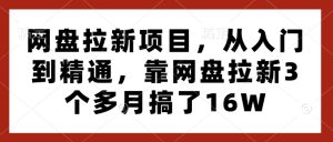 网盘拉新项目,从入门到精通,靠网盘拉新3个多月搞了16W-项目资源库