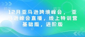 12月亚马逊跨境峰会, 亚马逊峰会直播,线上特训营基础版,进阶版-项目资源库