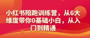 小红书陪跑训练营，从6大维度带你0基础小白，从入门到精通-项目资源库