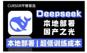2025年deepseek R1 大型模型本地安装部署(文件+教程)本地部署,超低训练成本-项目资源库