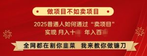 必看，做项目不如卖项目，2025普通人如何通过“卖项目”实现月入十个，年入百个-项目资源库